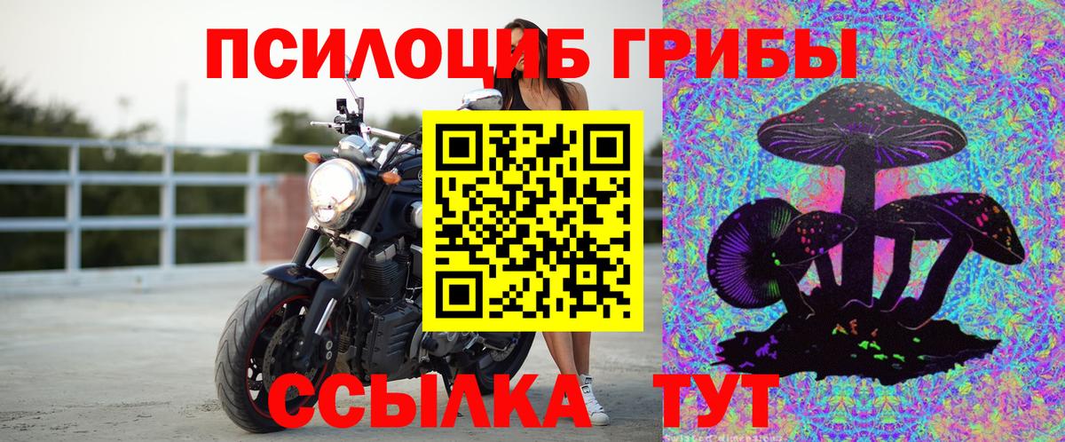 Большой Камень  Псилоцибиновые грибы мицелий  Вход с VPN 