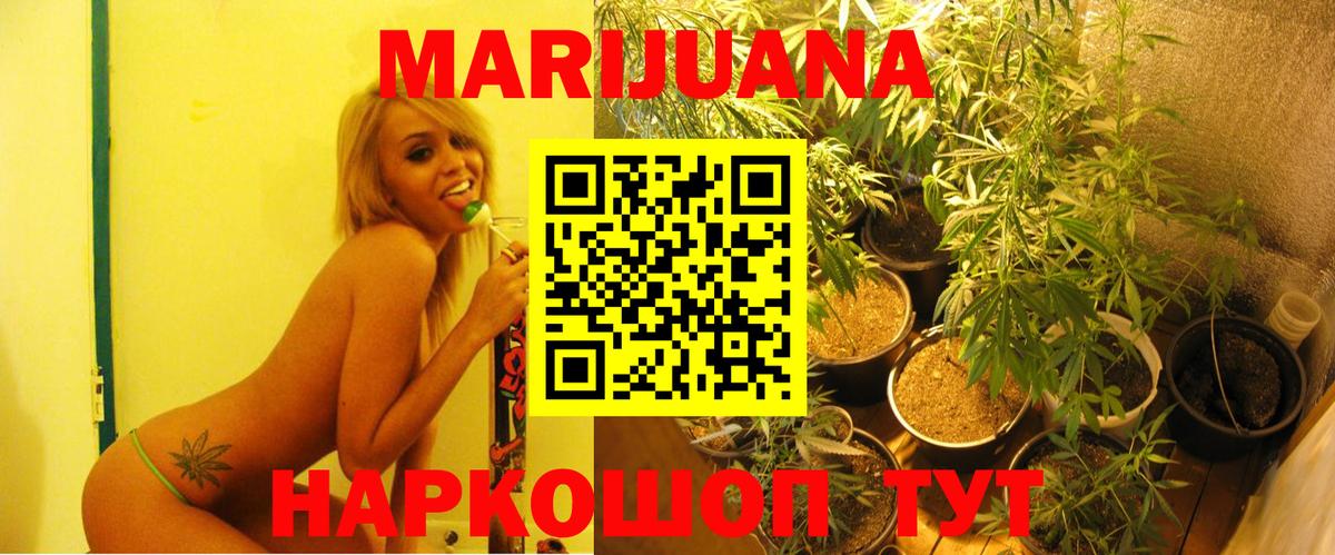 Шишки марихуана Bruce Banner  Канабис план  Бошки марихуана THC 21%  Вход с VPN  Большой Камень 
